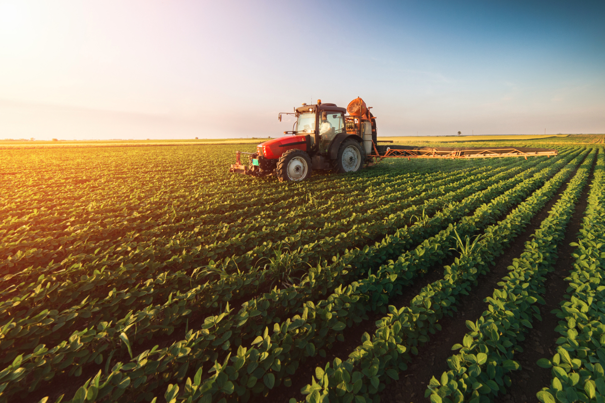 Agriculture image — from Ace’s original website